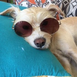 Meet your Posher, Neve